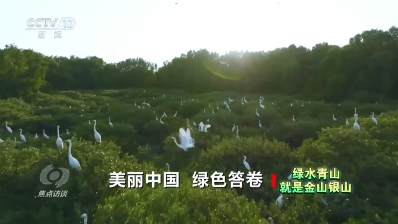 央视《焦点访谈》报道唐山