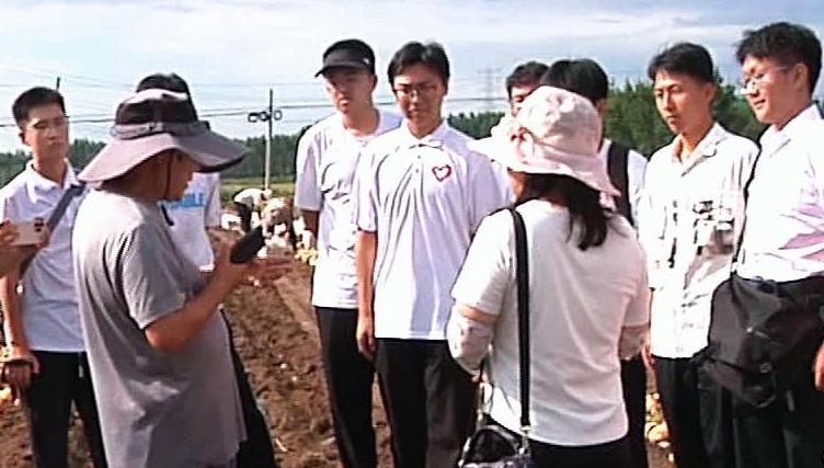 唐山学院“耘野‘薯’光”实践队玉田助农