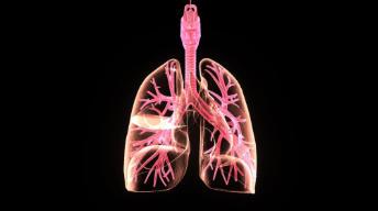 肺癌的5个先兆症状要警惕!